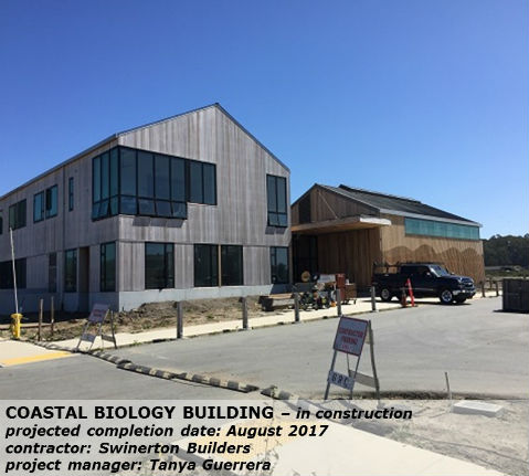 View of construction progress of Coastal Biology Building
